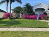 Azaleas that bloom each spring!