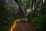 Illuminated Secret Garden Path