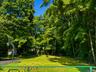 back yard - ai enhanced