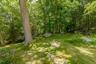 Low maintenance yard
