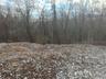 View of local wilderness