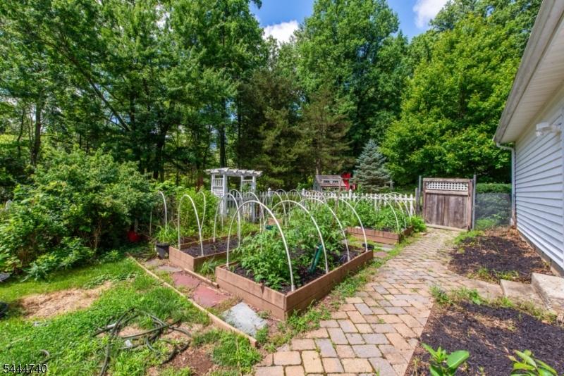 Rear Gardens