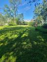 Deep Backyard