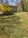 Side Yard