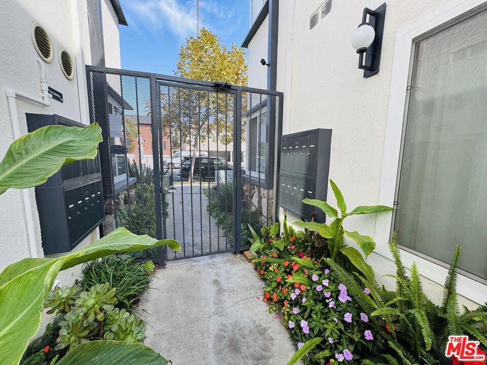 Front Gate and plants as you w