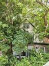 Exterior featuring mature trees, a stucco facade, brick accents, and white-framed windows with dark green trim