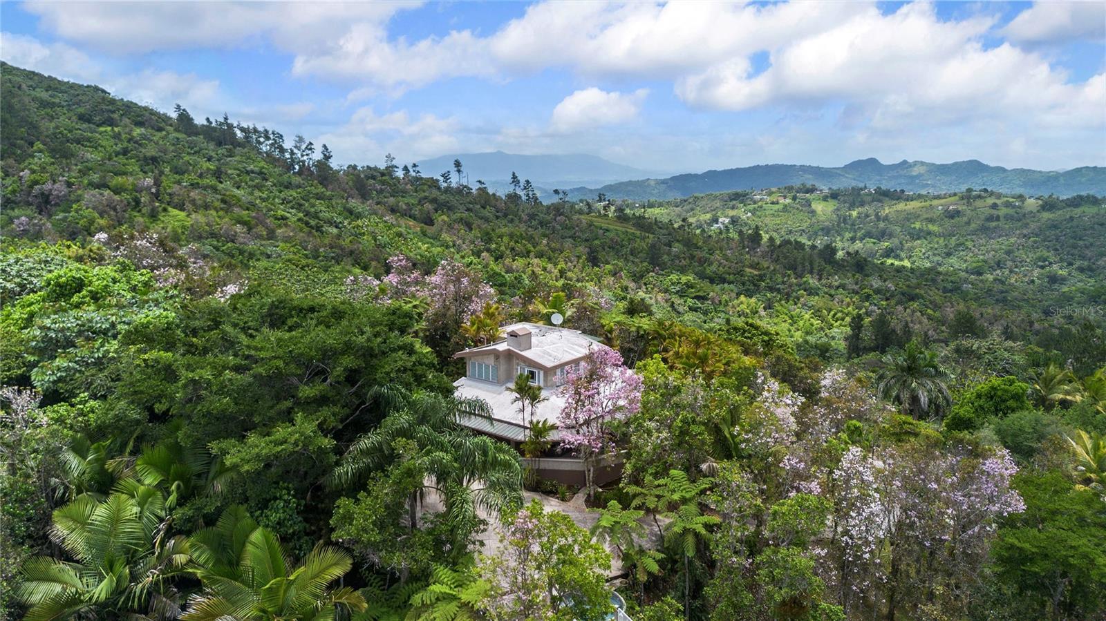 Guavate Mountain Retreat