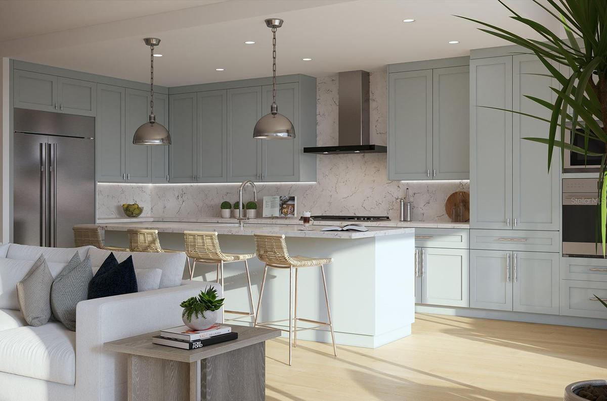 Artist Rendering Kitchen