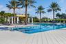 Adult Pool