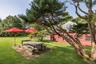 Alfresco Dining