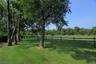 Lush fields
