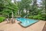 Beautiful Backyard with pool