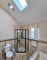 Primary Bath Vaulted Skylight