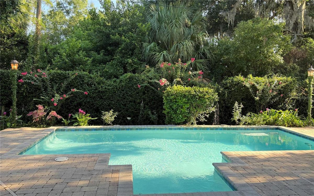 Brand New Resurfaced Sparkling Pool!
