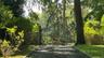 Entry to the property; five professionally landscaped, deer proof acres....