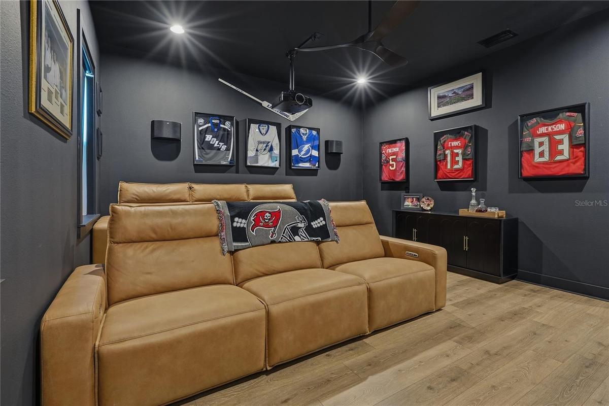 home theater