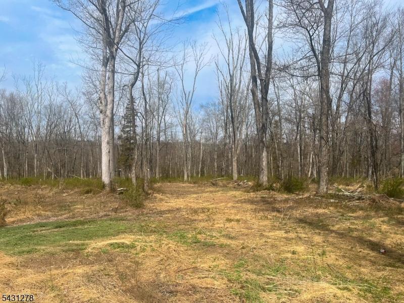 29 Pastoral acres