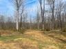 29 Pastoral acres