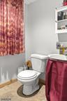 Basement Bathroom