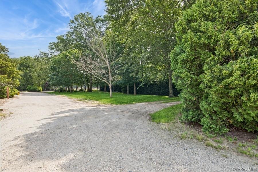 View of dirt / gravel road featuring a wooded view