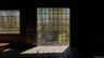 All new windows showing natural light