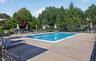 IG Pool