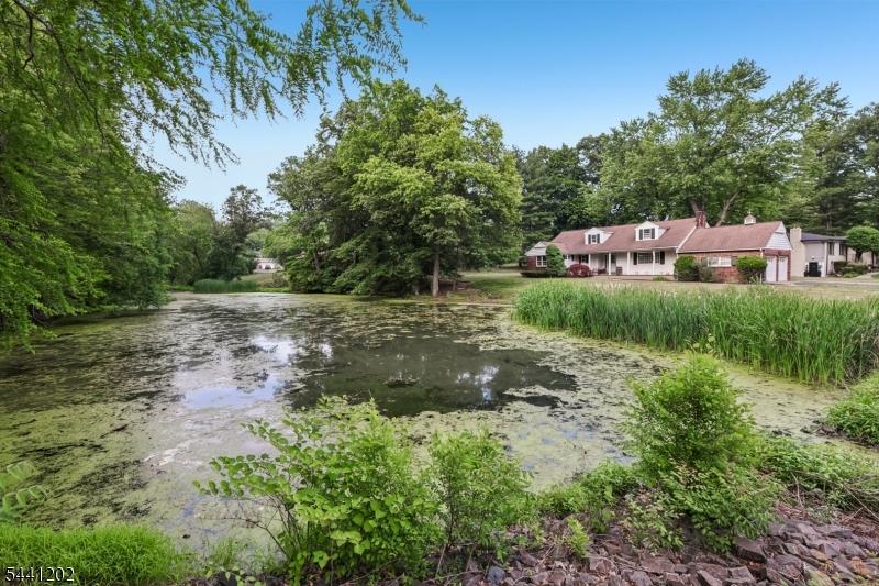 Pond
