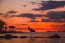 Wildlife at Sunset