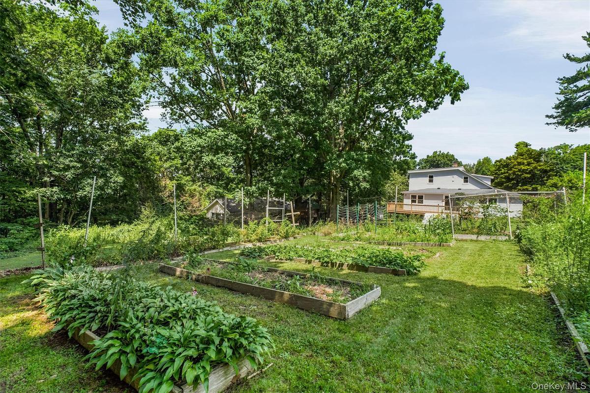 Expansive backyard garden featuring multiple raised beds and mature surrounding trees