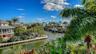 Peaceful canal views surrounded by palms