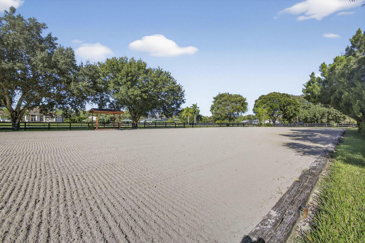 Dressage Ring