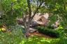1808 Wingfield Dr