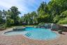 Waterfall Feature & Pool