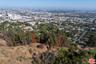 view over hollywood and downto