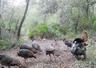 game cam pics