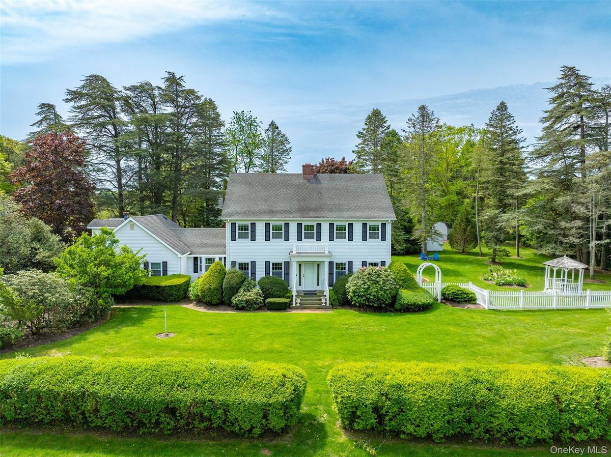 Colonial home featuring a chimney and view of wooded area