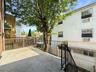 Deck & Backyard