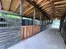 Newly built and updated barns
