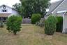 side yard