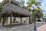 with Tiki Hut