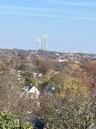 Views of Bridge