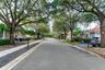 Beautiful tree-lined street