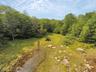 View of nature
