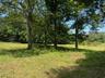 Proposed Land with mature trees and privacy.