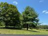 Proposed Land with mature trees and privacy.