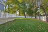 Back yard-1