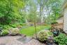 Backyard Fun!
