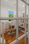 Cat Room