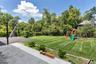 Another backyard view