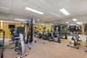 Workout area featuring carpet floors